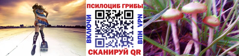 Галлюциногенные грибы Psilocybine cubensis  Вятские Поляны 